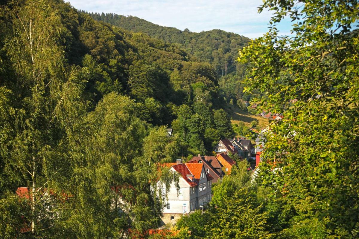 Fewo-lerbachtal * Osterode am Harz