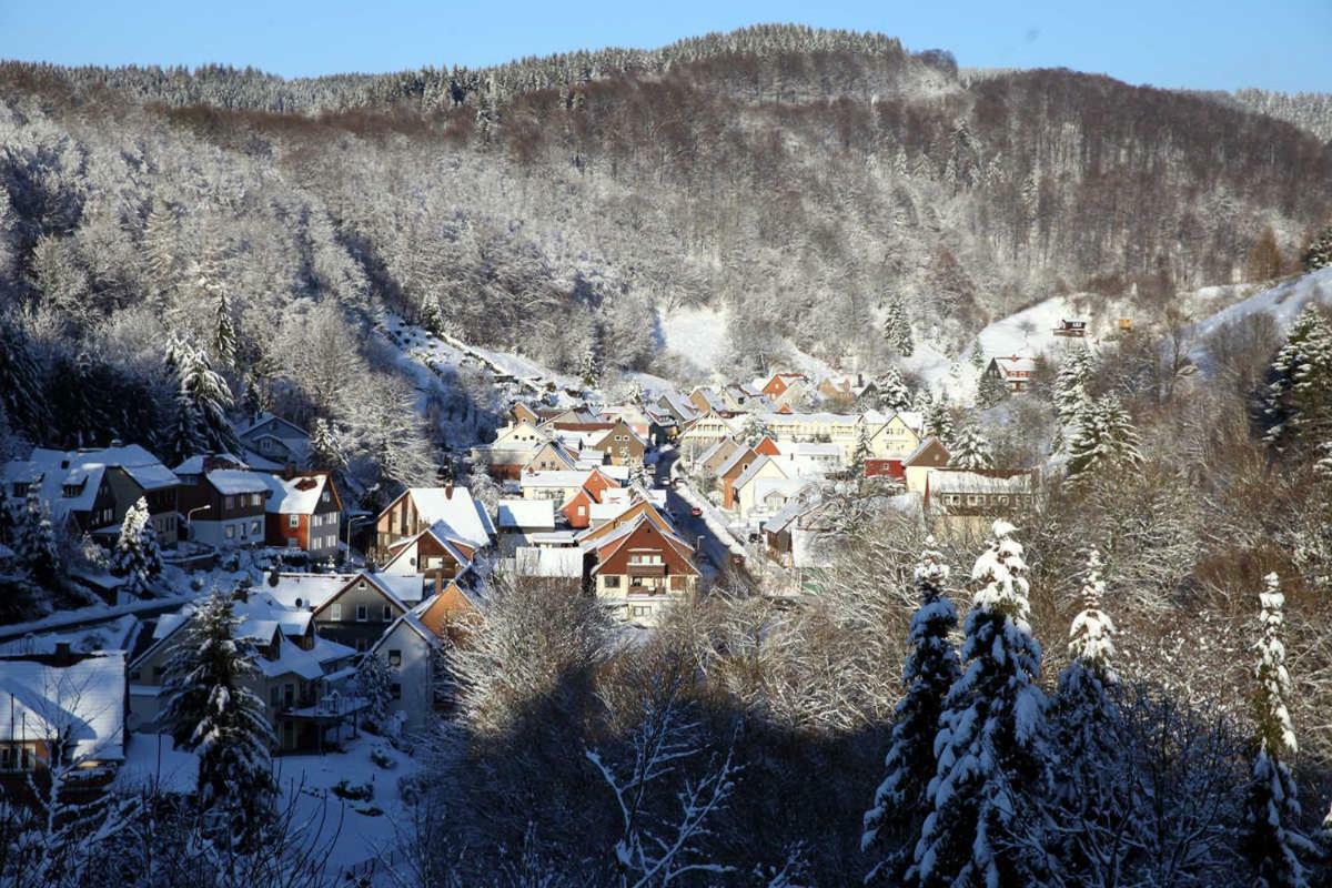 Apartment Fewo-lerbachtal Osterode am Harz