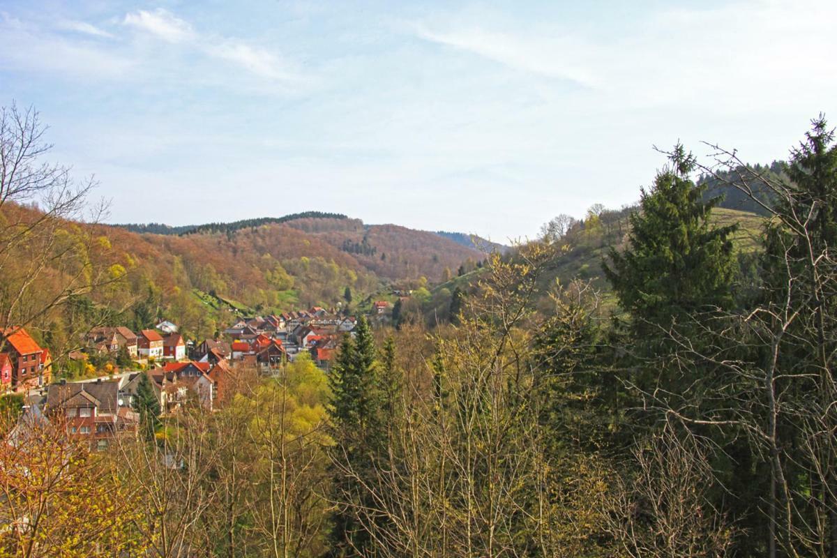 Fewo-lerbachtal *