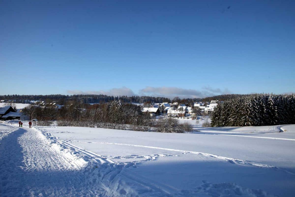 Apartment Fewo-lerbachtal